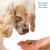 FAM PETS Hip & Joint Soft Chews for Dogs
