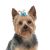 Aria Kaya Dog Barrettes (3-Pack) - Assorted Colors