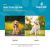 NaturVet Scoopables Emotional Support Daily Calming Aid Supplement Soft Chews for Dogs - 45 Scoops