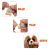 FAM PETS Probiotic+ Digestive Support Soft Chews for Dogs