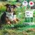 Cannabiscuit Gut Health Dog Supplements - 225 gram, 97 soft chews