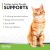Tomlyn L-Lysine Immune Support Powder for Cats - 100g