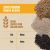 Orijen Amazing Grains Puppy Dry Dog Food