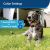 PetSafe In-Ground Dog Fence System