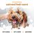 Buddycare Oatmeal Shampoo for Dogs - 16.9 fl oz (500 ml)