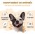 Buddycare Oatmeal Conditioner for Dogs - 16.9 fl oz (500 ml)