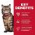 Hill's Science Diet Adult Sensitive Stomach & Skin Chicken Recipe Dry Cat Food