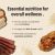 The Honest Kitchen Essential Clusters Whole Grain Beef & Chicken Recipe Dry Dog Food