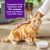 Wellness Complete Health Purrfect Duos Chicken & Tuna Dinner Cuts in Gravy Wet Cat Food - 12 x 2.64oz