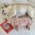 Stella & Chewy's Crav'n Bac'n Bites Bacon & Pork Recipe Soft & Chewy Dog Treats - 8.25 oz