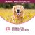 Fromm Nutritionals Sensitive Skin & Stomach Salmon & Whole Oats Recipe Complete Adult Dry Dog Food
