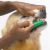 Top Performance ProDental Finger Brushes