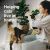 Vetality Harmony Calming Litter Box Diffuser For Cats