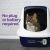 Vetality Harmony Calming Litter Box Diffuser For Cats