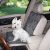 Guardian Gear Pawprint Single Car Seat Cover