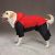 Casual Canine Snowsuits