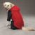 Casual Canine Snowsuits