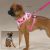 Casual Canine Mod Print Fabric Harnesses