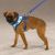 Casual Canine Mod Print Fabric Harnesses