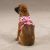 Casual Canine Mod Print Fabric Harnesses