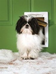 PetSafe Extreme Weather Door - Small