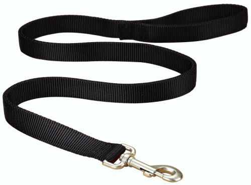 Hamilton Double Thick Nylon Dog Lead