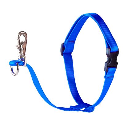 Lupine Basics No Pull Dog Harness - Blue