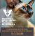 Tiki Cat Solutions Mousse Digestion Chicken and Egg in Broth Cat Food Pouches - 12x2.4oz