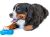 GURU® "No Begging!" Bone Medium Treat Dispensing Dog Toy