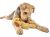 GURU Soft Scents Dog Medium Dog Toy