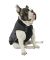 Canada Pooch Summit Stretch Vest