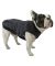 Canada Pooch Summit Stretch Vest