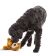 GURU Loveys Bear Medium Dog Toy