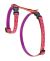 Lupine Originals Pattern H-Style Adjustable Cat Harness - Alpen Glow