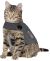 ThunderShirt Sport Anxiety Jacket for Cats