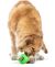 GURU Adjust-A-Chew Medium Dog Toy
