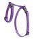 Lupine Originals Pattern H-Style Adjustable Cat Harness - Jelly Roll
