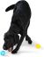 West Paw Boundr Dog Toys Small 2.5" - 2 pack