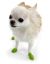 Pawz Dog Boots (12 individual rubber boots/pack)