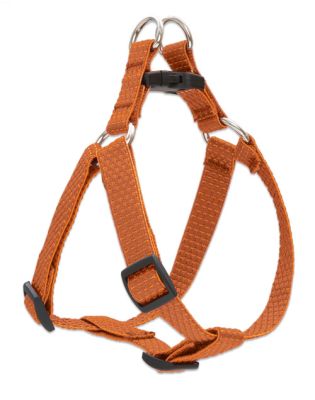 Lupine Eco Adjustable Dog Harness - Pumpkin