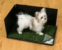 PoochPad Indoor Turf Dog Potty Classic Premier Connectable 16"X24" - With Pad/Hike Shield
