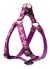 Lupine Originals Step In Adjustable Dog Harness - Rose Garden