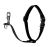 Lupine Basics No Pull Dog Harness - Black
