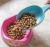 Beco Pets Recycled Bamboo Food Scoop