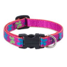 Lupine Originals Pattern Adjustable Cat Safety Collar - Wing It