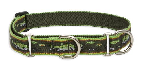 Lupine Originals Martingale Combo Dog Collar - Brook Trout