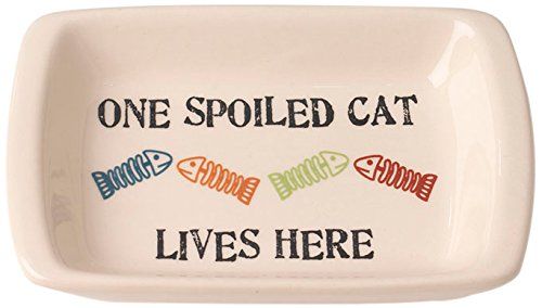 PetRageous Designs One Spoiled Cat Rectangle Saucer Bowl