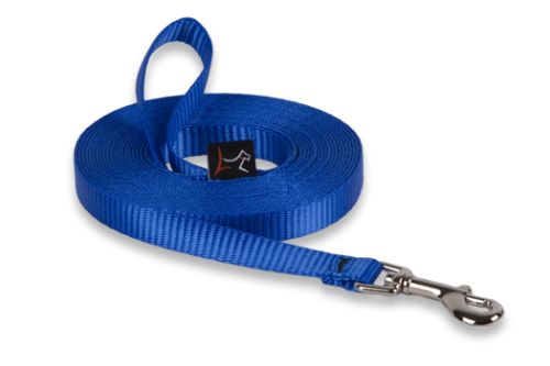 Lupine Basics Dog Training Leash - Blue
