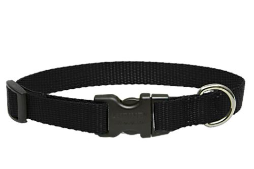 Lupine Basics Adjustable Dog Collar - Black
