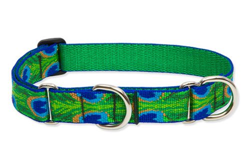 Lupine Originals Martingale Combo Dog Collar - Tail Feathers